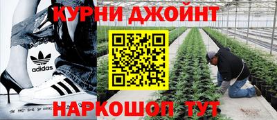 прущие крисы Сланцы