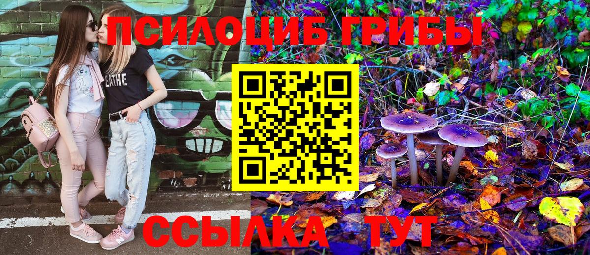 Галлюциногенные грибы мухоморы Мурманск