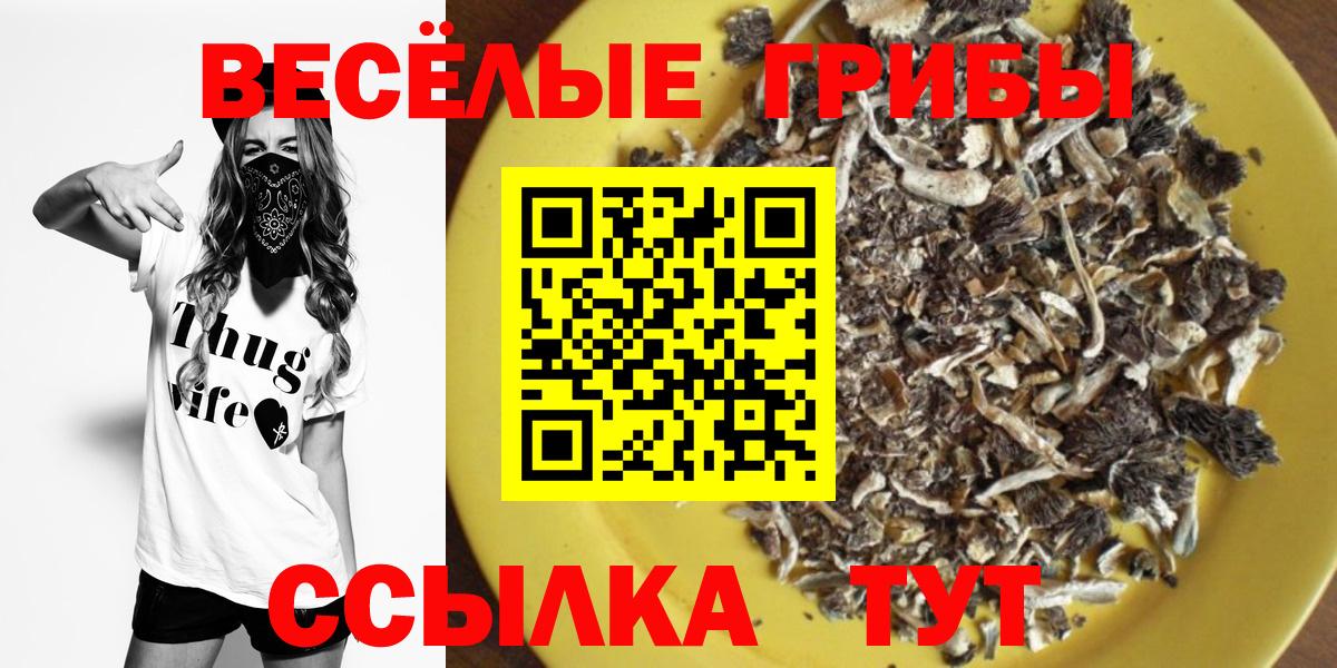Галлюциногенные грибы GOLDEN TEACHER  Вход с VPN  Мурманск 